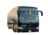 49 Seater Luxury Bus